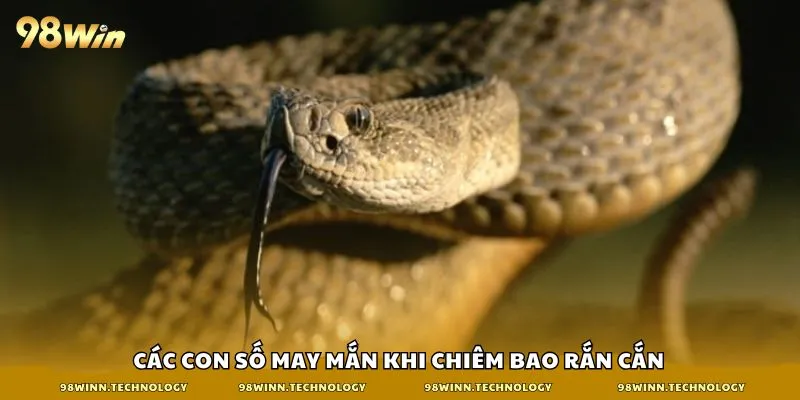 Các con số may mắn khi chiêm bao rắn cắn