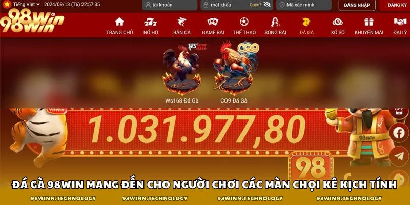 Đá gà 98win mang đến cho người chơi các màn chọi kê kịch tính