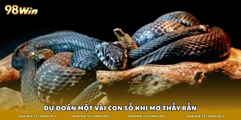 Dự đoán một vài con số khi mơ thấy rắn