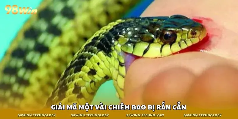 Giải mã một vài chiêm bao bị rắn cắn