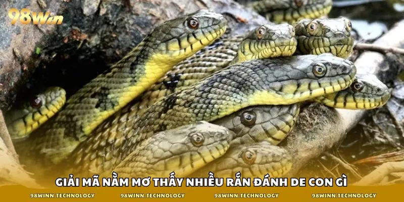 Giải mã nằm mơ thấy nhiều rắn đánh de con gì