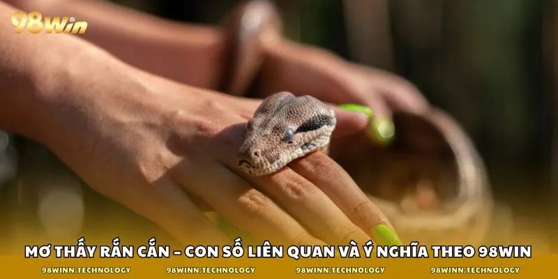 mơ thấy rắn cắn